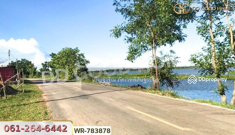 ขาย - ที่ดินพระยืน 2 ไร่ 242 ตร.ว. ขอนแก่น, ขอนแก่น