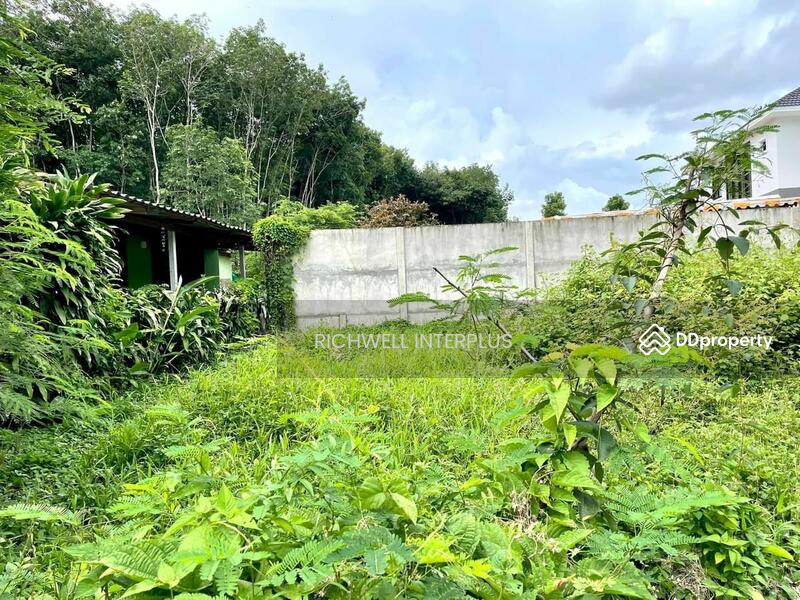 For Sale - Land for sale in Chakbok, 70 sq.wa., near Chakbok Subdistrict Municipality - 2 km.,, Rayong