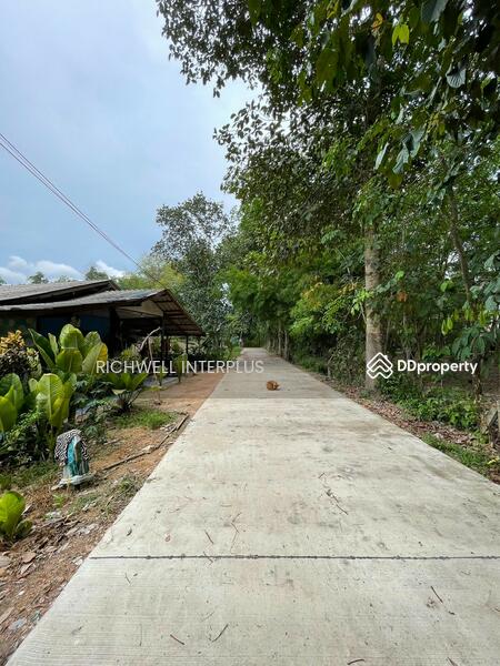 For Sale - Land for sale in Chakbok, 70 sq.wa., near Chakbok Subdistrict Municipality - 2 km.,, Rayong