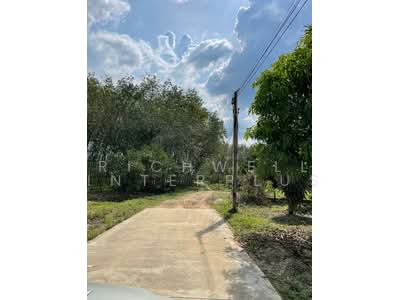 ขาย - ขายที่ดินพร้อมต้นยาง100ต้น บ้านหนองบัวเนื้อที่ 2 ไร่ ใกล้ถนนเส้น3574-600เมตร, ระยอง