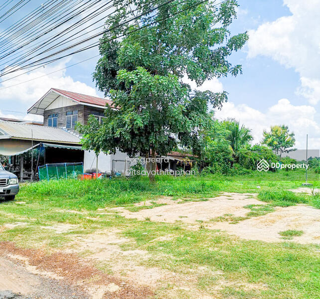 ขาย - กาฬสินธุ์, กาฬสินธุ์