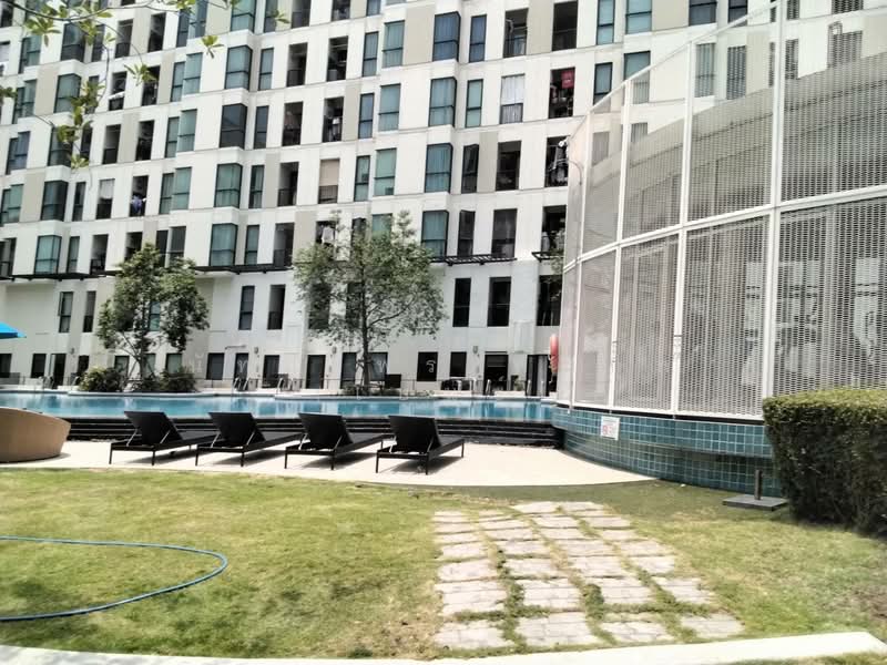 Unio Sukhumvit 72, Samut Prakan, 285 Soi Sukhumvit 72, Samrong Nua, Muang Samut Prakarn, Samut Prakan, Studio, 21 sqm, Condo For Rent, by Nattayaporn Peumkul (Benz), 11729179 - DDproperty.com