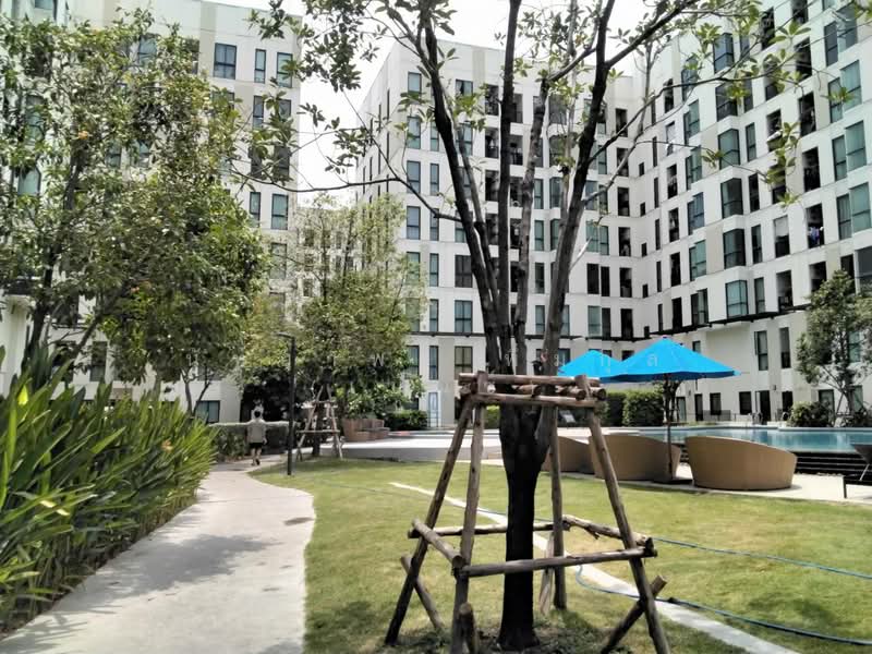 Unio Sukhumvit 72, Samut Prakan, 285 Soi Sukhumvit 72, Samrong Nua, Muang Samut Prakarn, Samut Prakan, Studio, 21 sqm, Condo For Rent, by Nattayaporn Peumkul (Benz), 11729179 - DDproperty.com
