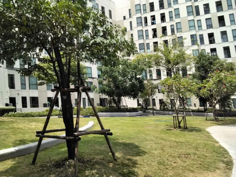 Unio Sukhumvit 72, Samut Prakan, 285 Soi Sukhumvit 72, Samrong Nua, Muang Samut Prakarn, Samut Prakan, Studio, 21 sqm, Condo For Rent, by Nattayaporn Peumkul (Benz), 11729179 - DDproperty.com