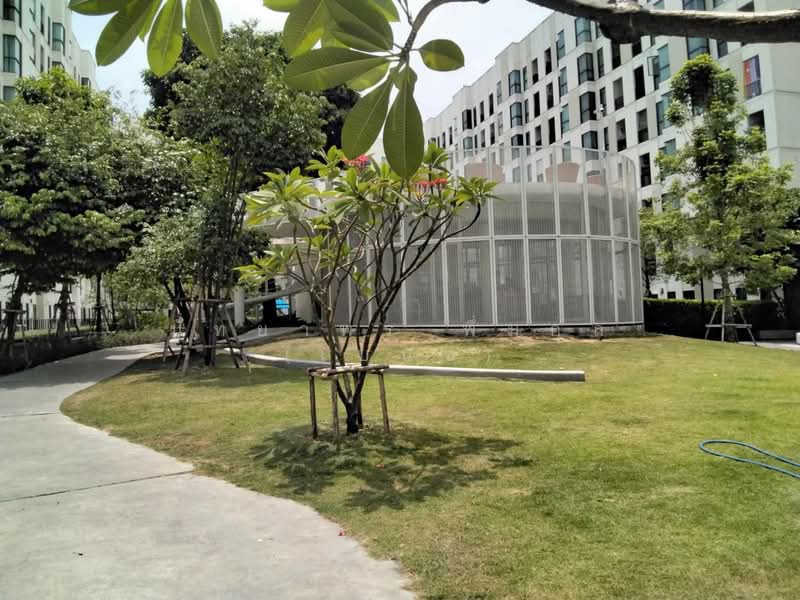 ให้เช่า - Unio Sukhumvit 72 : ยูนิโอ สุขุมวิท 72, สมุทรปราการ