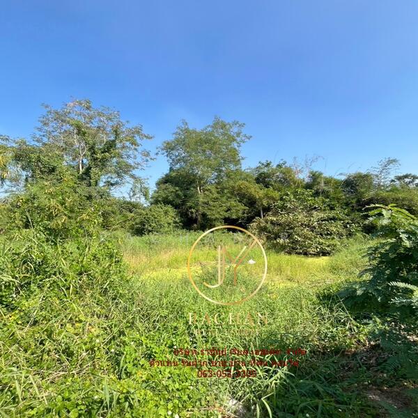 ขาย - ที่ดินเปล่า 496 ตารางวา ซ.คลองพระอุดม แปลงมุม เหมาะสร้างบ้าน ราคาพร้อมคุย, ปทุมธานี