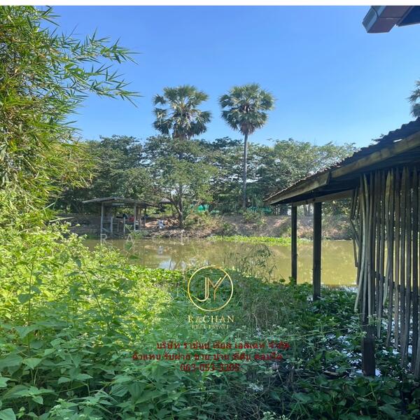 ที่ดินเปล่า 496 ตารางวา ซ.คลองพระอุดม แปลงมุม เหมาะสร้างบ้าน ราคาพร้อมคุย, Pathum Thani, Ra Haeng, Lat Lum Kaeo, Pathum Thani, , 1,984 sqm, Land For Sale, by ศุภวัฒน์ ไชยสาร, 11729190 - DDproperty.com