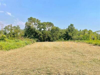 ขาย - ขายที่ดินซอยหลังอบต.ตาขันเนื้อที่ 159 ตรว. ถ.เชิงเนิน-ชากบก ถมแล้วเข้าออกได้2ทาง, ระยอง