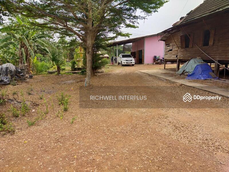 For Sale - Land for sale in Nong Yao with house, area 140 sq m, near Nong Patong Temple, 700 m., Chachoengsao