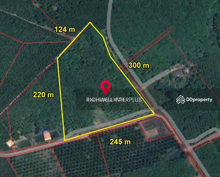 For Sale - Land for sale in Tha Kradan with rubber plantation, area 27 rai, near road 3009-2.4 km., Chachoengsao