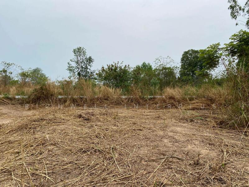 Land for sale in Huasamrong, 4 rai, with a view of Suwannakiri Mountain, near Road 331-2.2 km, Chachoengsao, Hua Samrong, Plaeng Yao, Chachoengsao, , 6,984 sqm, Land For Sale, by RICHWELL INTERPLUS, 11729632 - DDproperty.com