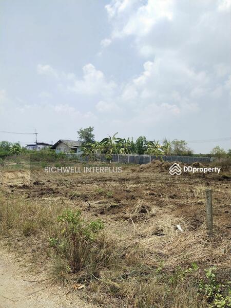 ขาย - ขายที่ดินเสม็ดใต้ 204 ตรว. หลังไทยแอโรว์ซอยโรงเรียนวัดสนามช้าง ใกล้ถนนสุวินทวงศ์304, ฉะเชิงเทรา