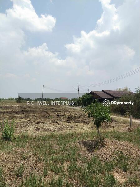 ขาย - ขายที่ดินเสม็ดใต้ 204 ตรว. หลังไทยแอโรว์ซอยโรงเรียนวัดสนามช้าง ใกล้ถนนสุวินทวงศ์304, ฉะเชิงเทรา