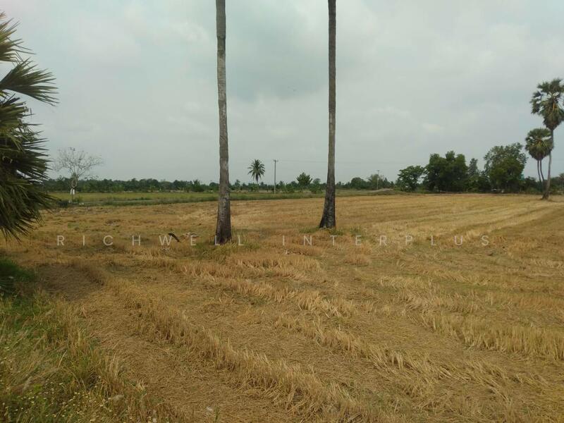 ขาย - ขายที่ดินคลองเขื่อน 5 ไร่ ติดถนนลาดยาง2ด้าน ติดคลอง ใกล้วัดคลองเขื่อน750เมตร, ฉะเชิงเทรา