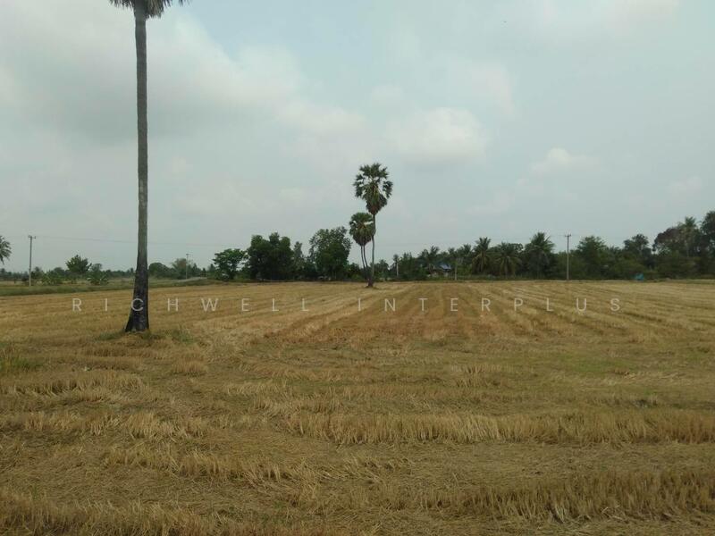 ขาย - ขายที่ดินคลองเขื่อน 5 ไร่ ติดถนนลาดยาง2ด้าน ติดคลอง ใกล้วัดคลองเขื่อน750เมตร, ฉะเชิงเทรา