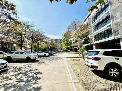 ขาย - ขายอาคารสำนักงานปรีดีพนมยงค์42 ถนนสุขุมวิท71 ซอยพานิชอนันต์7 แขวงคลองตันเหนือ เขตวัฒนา, กรุงเทพ