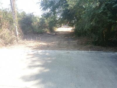 ขาย - ขายที่ดิน 1-2-82 ไร่ ราคาถูก !!! ถนนเทศบาล 5 ซอย 3 ต.ปากเพรียว อ.เมืองสระบุรี จ.สระบุรี 18000, สระบุรี