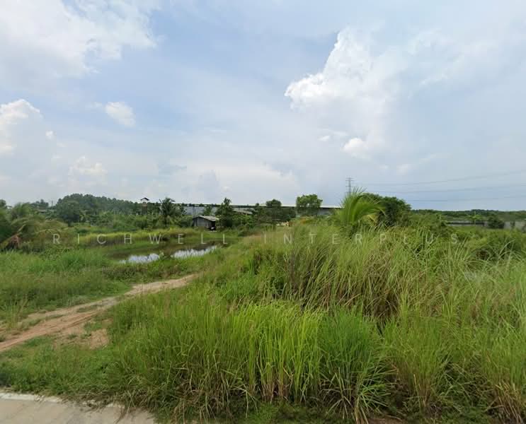 Land for sale in Nong Chak, area 4 rai, next to concrete road, near Nong Chak intersection - 4.2 km, Chon Buri (Pattaya), Nong Chak, Ban Bung, Chon Buri (Pattaya), , 7,740 sqm, Land For Sale, by RICHWELL INTERPLUS, 11730948 - DDproperty.com
