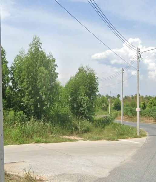 Land for sale in Nongprue, Pattaya, area 34 rai, next to Soi Thumklom Talman 13,, Chon Buri (Pattaya), Nong Pru, Bang Lamung (Pattaya), Chon Buri (Pattaya), , 55,396 sqm, Land For Sale, by RICHWELL INTERPLUS, 11730984 - DDproperty.com