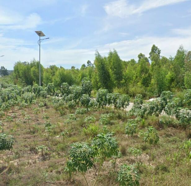 Land for sale in Nongprue, Pattaya, area 34 rai, next to Soi Thumklom Talman 13,, Chon Buri (Pattaya), Nong Pru, Bang Lamung (Pattaya), Chon Buri (Pattaya), , 55,396 sqm, Land For Sale, by RICHWELL INTERPLUS, 11730984 - DDproperty.com