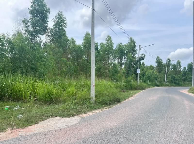 Land for sale in Nongprue, Pattaya, area 34 rai, next to Soi Thumklom Talman 13,, Chon Buri (Pattaya), Nong Pru, Bang Lamung (Pattaya), Chon Buri (Pattaya), , 55,396 sqm, Land For Sale, by RICHWELL INTERPLUS, 11730984 - DDproperty.com