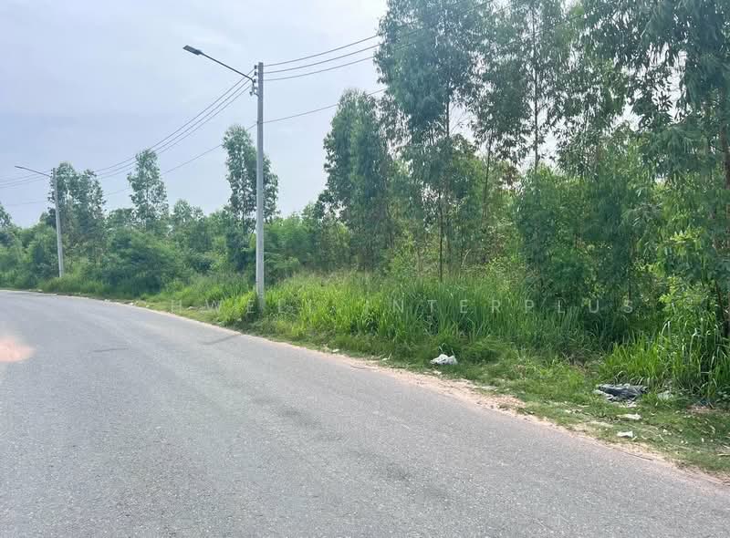 Land for sale in Nongprue, Pattaya, area 34 rai, next to Soi Thumklom Talman 13,, Chon Buri (Pattaya), Nong Pru, Bang Lamung (Pattaya), Chon Buri (Pattaya), , 55,396 sqm, Land For Sale, by RICHWELL INTERPLUS, 11730984 - DDproperty.com