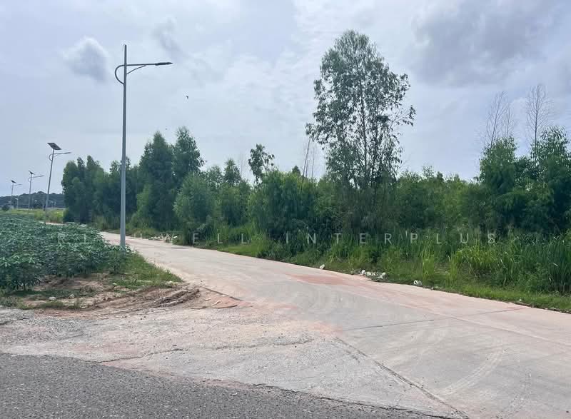 Land for sale in Nongprue, Pattaya, area 34 rai, next to Soi Thumklom Talman 13,, Chon Buri (Pattaya), Nong Pru, Bang Lamung (Pattaya), Chon Buri (Pattaya), , 55,396 sqm, Land For Sale, by RICHWELL INTERPLUS, 11730984 - DDproperty.com