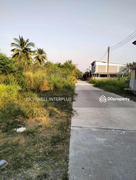 For Sale - Land for sale in Bo Thong, area 50 sq.w., behind Bo Thong Hospital, near Road 3340-260 meters., Chon Buri