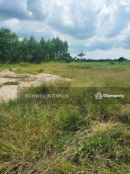 For Sale - Land for sale on Koh Chang, area 200 sq.w., near road 331-9 km., near Koh Chang Hospital-3 km., Chon Buri