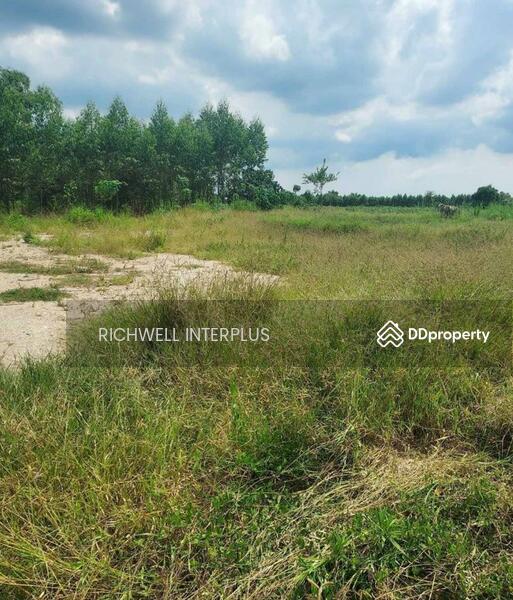For Sale - Land for sale on Koh Chang, area 200 sq.w., near road 331-9 km., near Koh Chang Hospital-3 km., Chon Buri