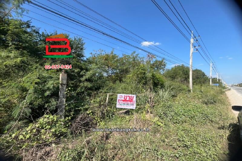 ขาย - ที่ดินเปล่า ติดวัดสิริมังคลาจารย์, เชียงใหม่