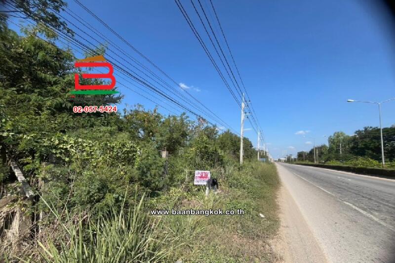 ขาย - ที่ดินเปล่า ติดวัดสิริมังคลาจารย์, เชียงใหม่