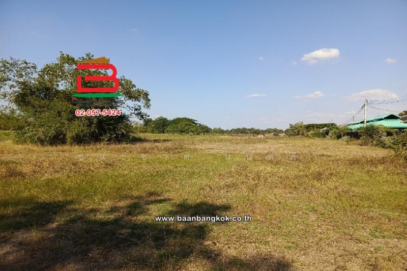 ขาย - ที่ดินเปล่า ติดวัดสิริมังคลาจารย์, เชียงใหม่