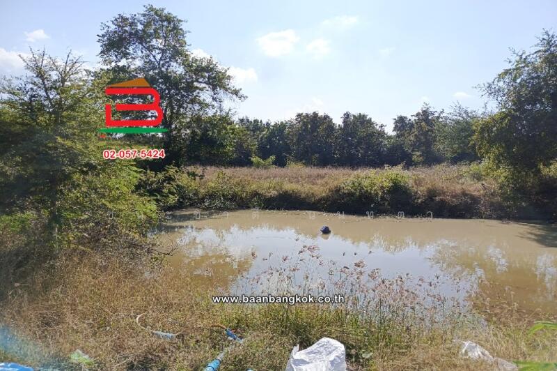 ขาย - ที่ดินเปล่า ติดวัดสิริมังคลาจารย์, เชียงใหม่