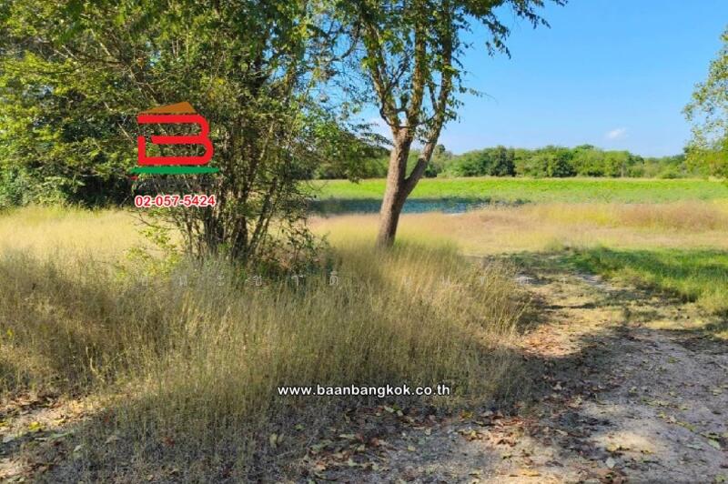 ขาย - ที่ดินเปล่า ติดวัดสิริมังคลาจารย์, เชียงใหม่