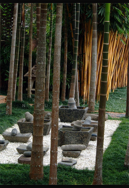 Әйел суретшілерді өмірден суретке түсіріңіз xxx