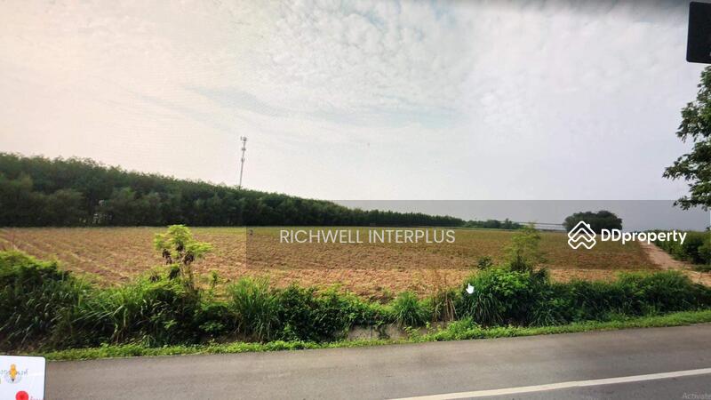 For Sale - For sale: Suwan agricultural land, area 31 rai, on road No. 4084, near Bo Thong intersection, 5 km., Chon Buri