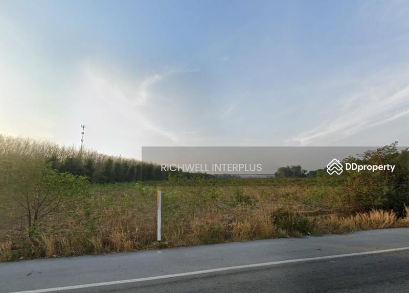 For Sale - For sale: Suwan agricultural land, area 31 rai, on road No. 4084, near Bo Thong intersection, 5 km., Chon Buri