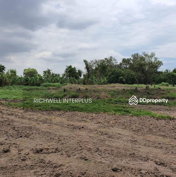 For Sale - Land for sale in Nong Hiang, 2 rai, next to the irrigation canal road,, Chon Buri