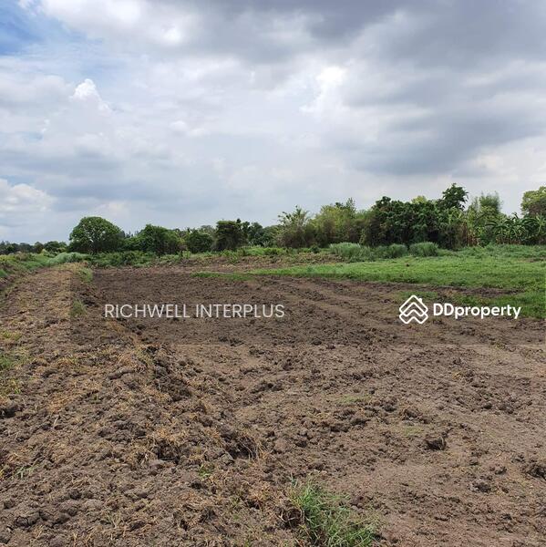 For Sale - Land for sale in Nong Hiang, 2 rai, next to the irrigation canal road,, Chon Buri