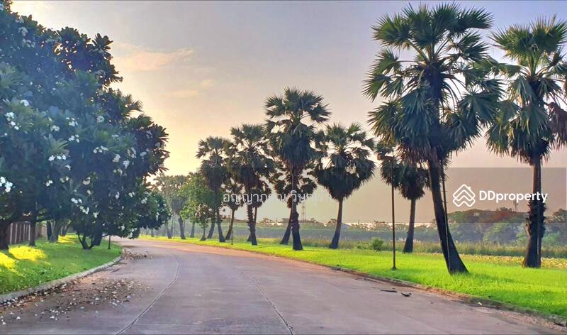 For Sale - Promphan park, Bangkok
