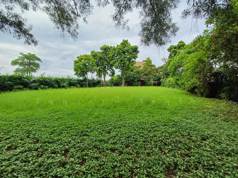 For Sale - Promphan park, Bangkok