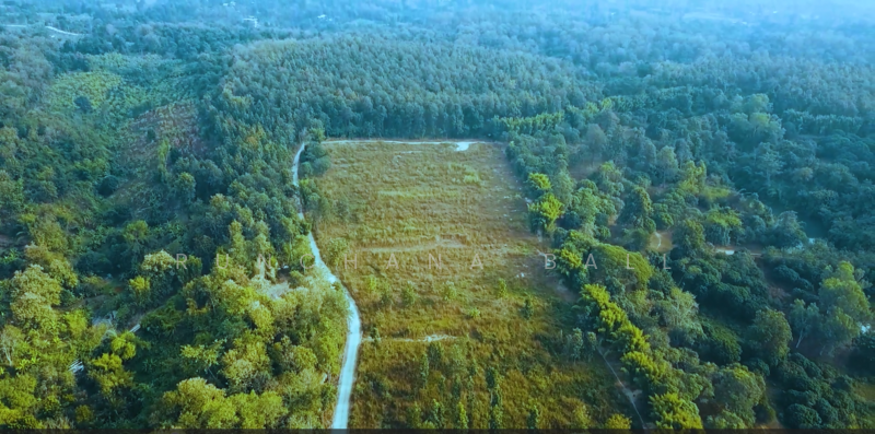 ที่ดิน 21 ไร่ แม่แรม แม่ริมเชียงใหม่, เชียงใหม่, แม่แรม, แม่ริม, เชียงใหม่, 33,600 ตร.ม., ที่ดิน ขาย, โดย Runchana Ball, 11732249 - DDproperty.com