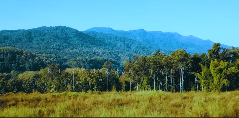 21 Rai land Mae Ram Mae Rim Chiang Mai, Chiang Mai, Mae Ram, Mae Rim, Chiang Mai, , 33,600 sqm, Land For Sale, by Runchana Ball, 11732249 - DDproperty.com