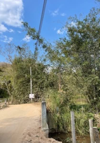 21 Rai land Mae Ram Mae Rim Chiang Mai, Chiang Mai, Mae Ram, Mae Rim, Chiang Mai, , 33,600 sqm, Land For Sale, by Runchana Ball, 11732249 - DDproperty.com