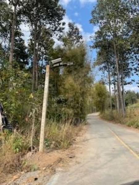 21 Rai land Mae Ram Mae Rim Chiang Mai, Chiang Mai, Mae Ram, Mae Rim, Chiang Mai, , 33,600 sqm, Land For Sale, by Runchana Ball, 11732249 - DDproperty.com