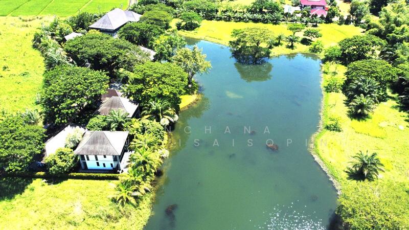 For Sale - 50180, Chiang Mai