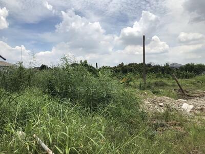 ขาย - ที่ดินลำลูกกาคลองสอง ซอย 23 แยก 5, ปทุมธานี