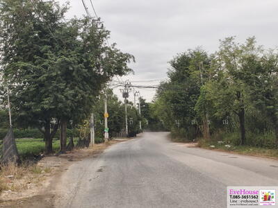 ขาย - บางใหญ่, นนทบุรี