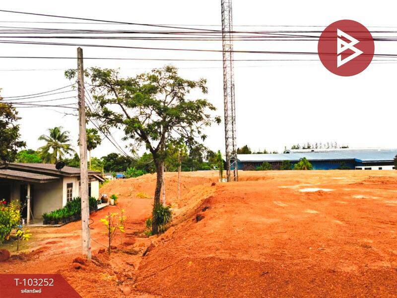 ให้เช่า - ที่ดินท่าแซะ ชุมพร, ชุมพร